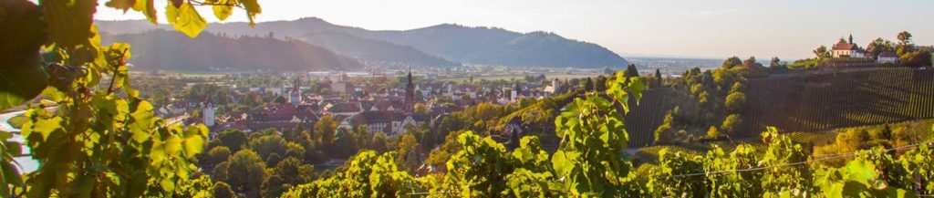 Weinmanufaktur Gengenbach Offenburg eG