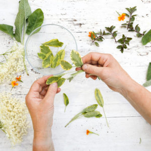 Brunnenhof Unkraeuter