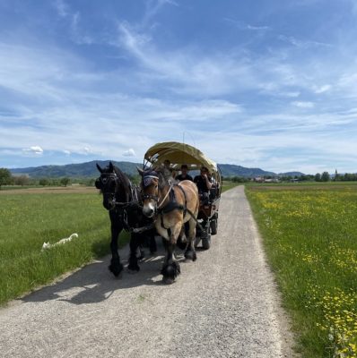 Kutschfahrt Mittlerer Schwarzwald