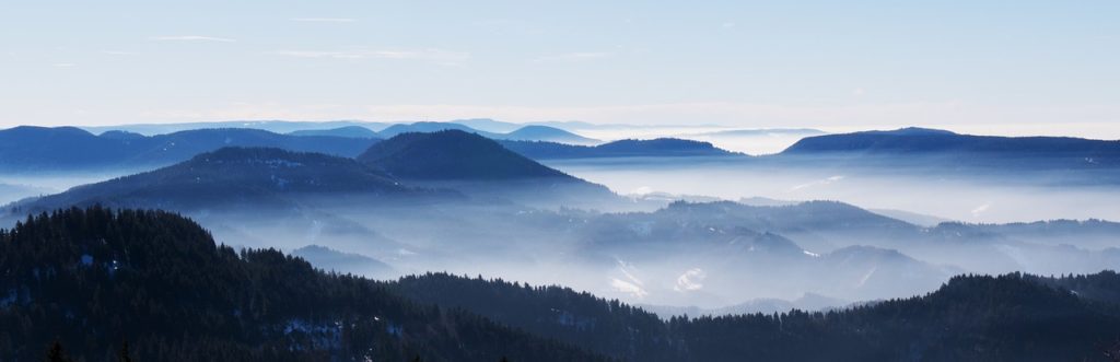Schwarzwald Nebel