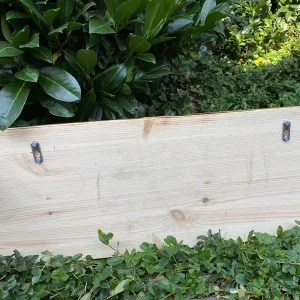 Schwarzwald_Garderobe_Alphonso_Rückseite