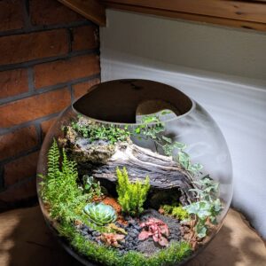 Flaschengarten mit Licht