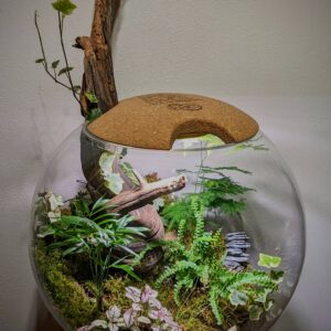 Flaschengarten mit Pflanzen