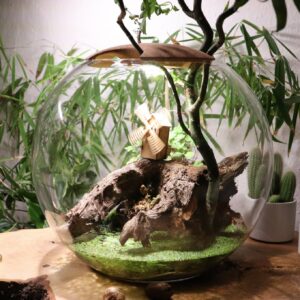 Flaschengarten mit Licht