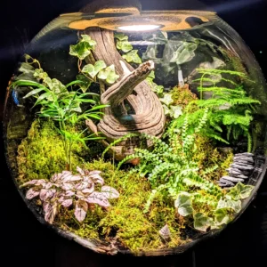 Flaschengarten mit Beleuchtung