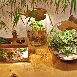 Flaschengarten mit Beleuchtung