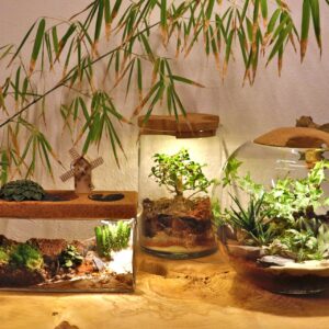 Flaschengarten mit Licht unterschiedliche Formen