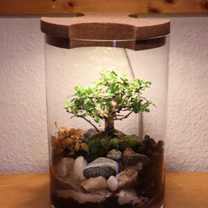 Flaschengarten mit Licht